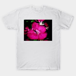 dark pink flower by shanmaree T-Shirt